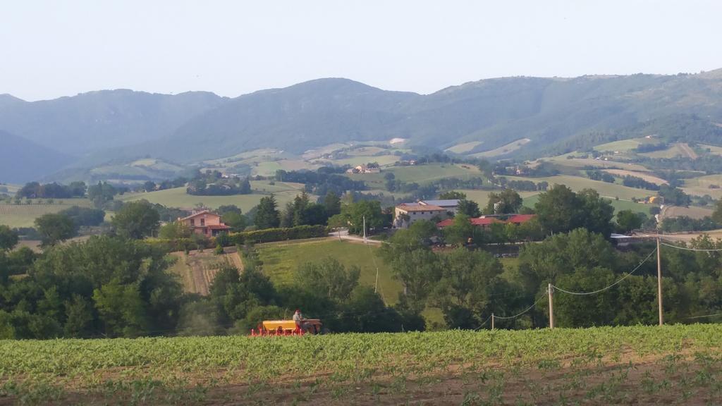 Pietra Maula Agriturismo Castelraimondo المظهر الخارجي الصورة