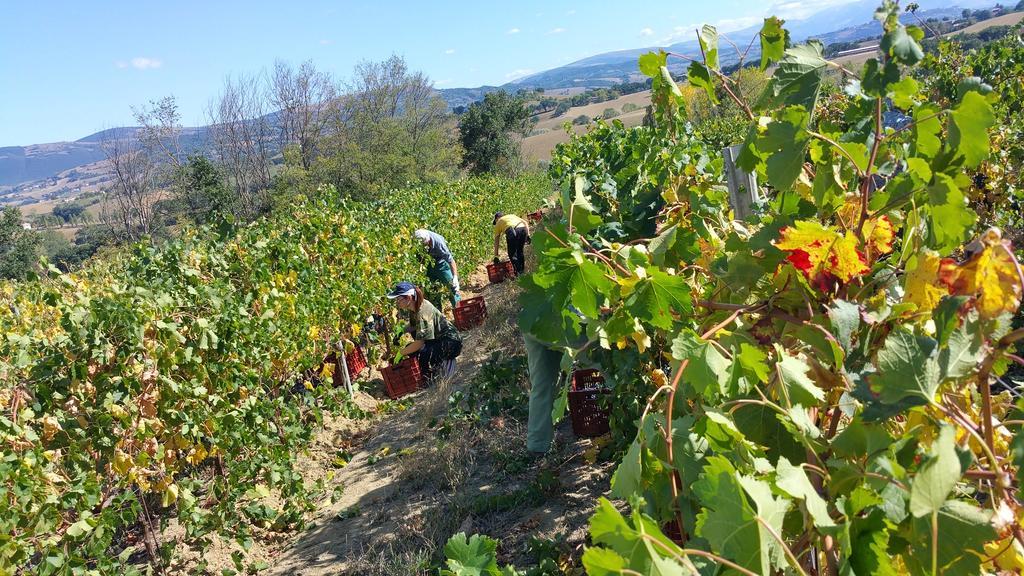 Pietra Maula Agriturismo Castelraimondo المظهر الخارجي الصورة