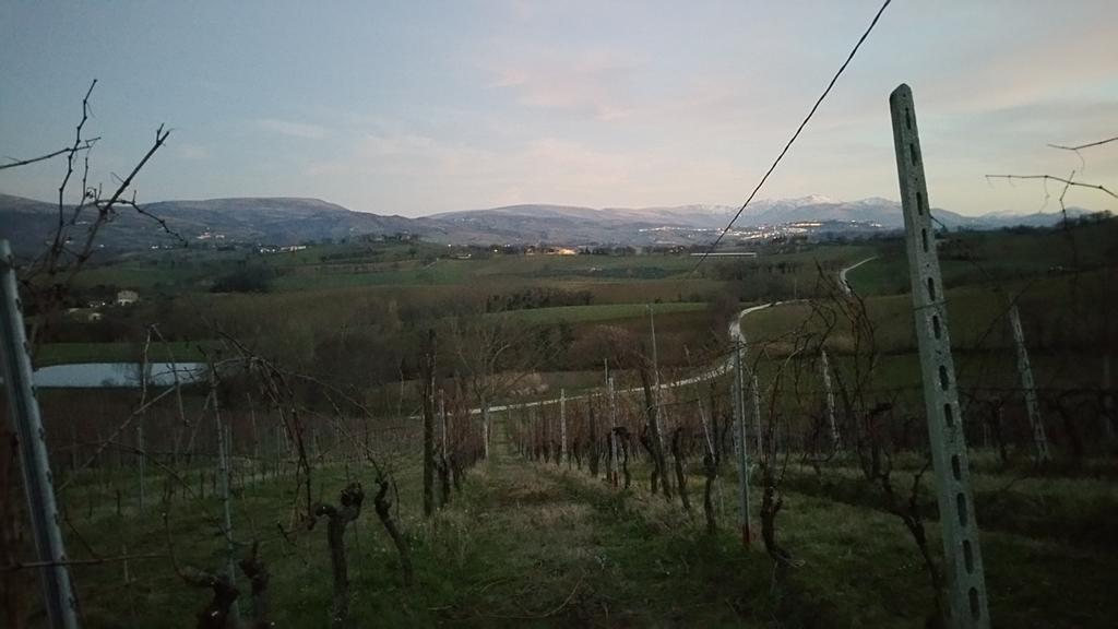 Pietra Maula Agriturismo Castelraimondo المظهر الخارجي الصورة