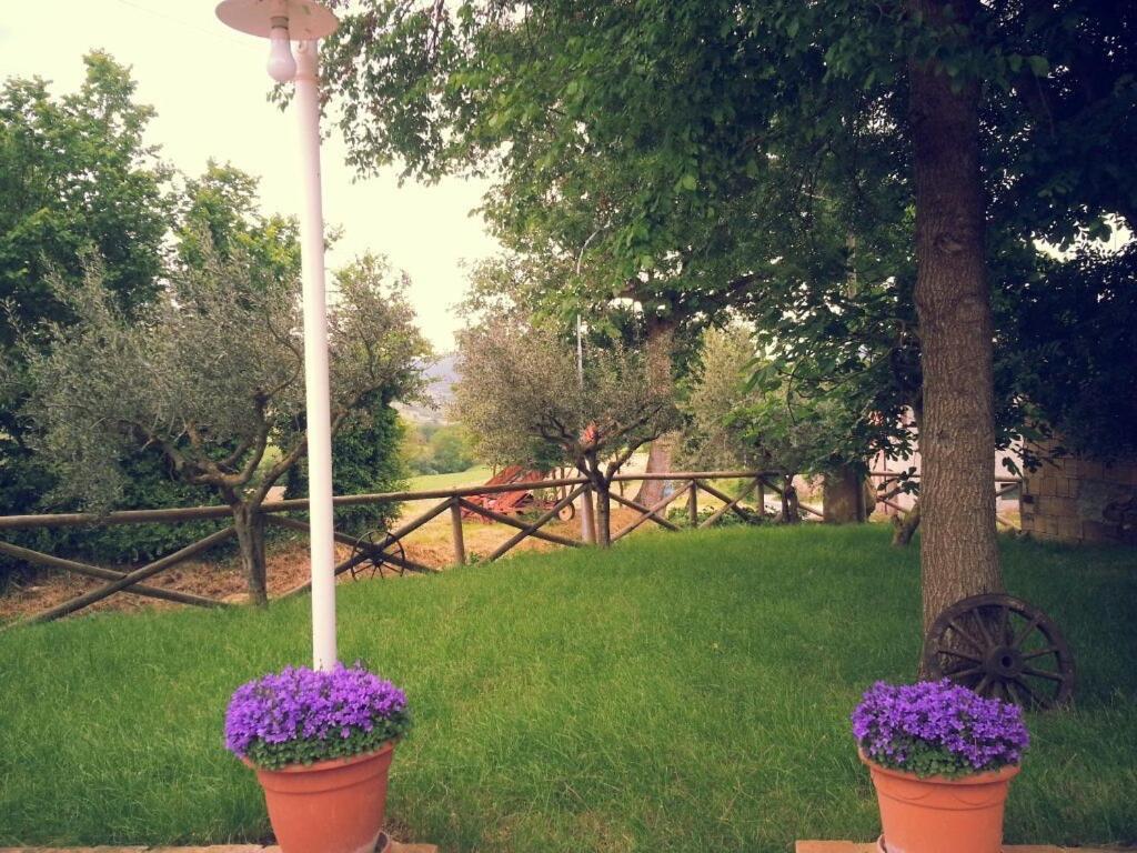Pietra Maula Agriturismo Castelraimondo المظهر الخارجي الصورة